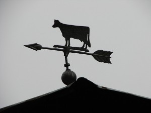 Cow weather vane