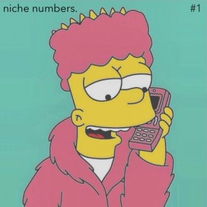 Niche Numbers: #1